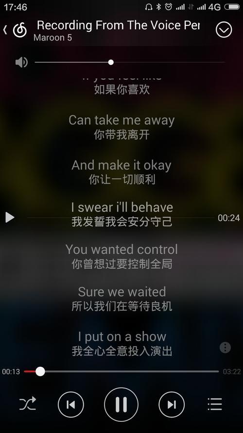 欢歌词意思
