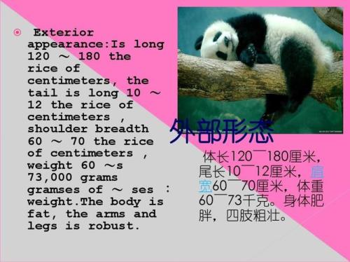 熊猫的资料英文