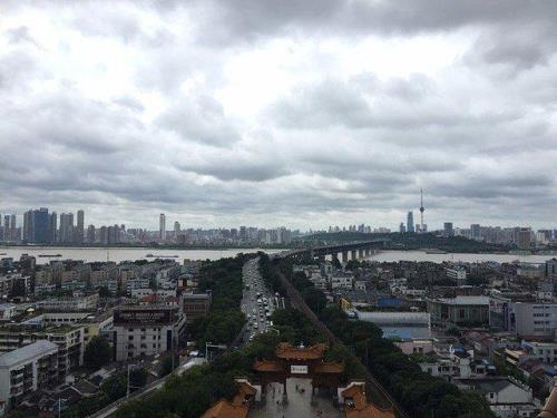 黄鹤楼离哪个码头近