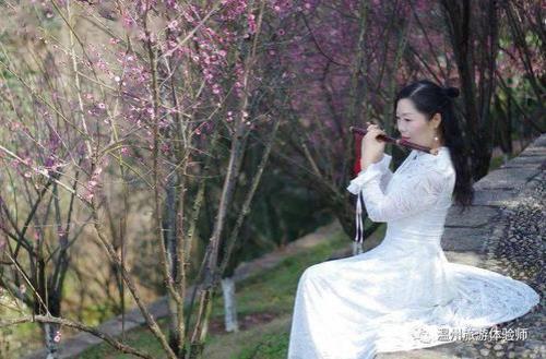 花落云溪是什么意思呢