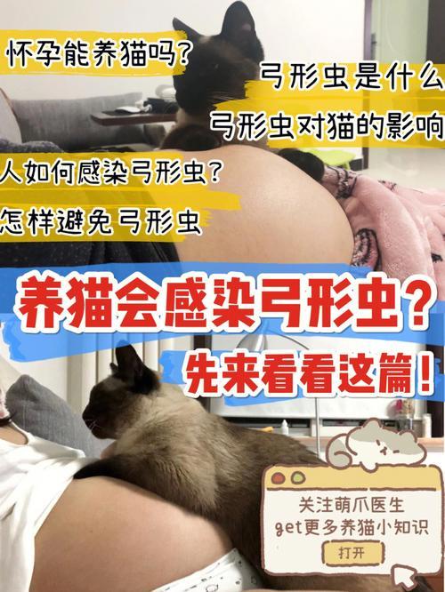 养猫之后家里还有虫子怎么办