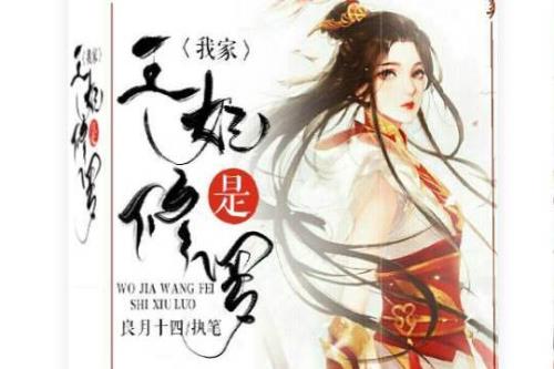 类似我家夫君是红妆的小说