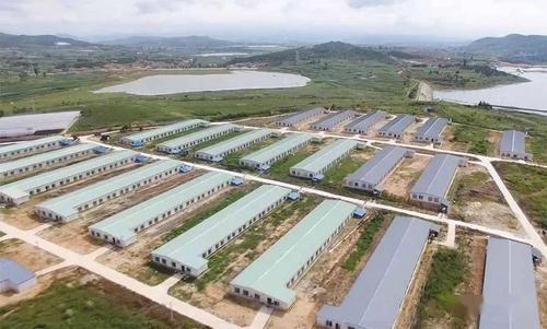 非规模化畜禽养殖要办手续吗