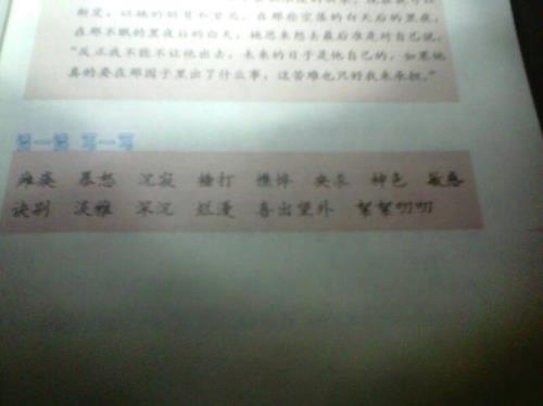 齐丽的词语解释