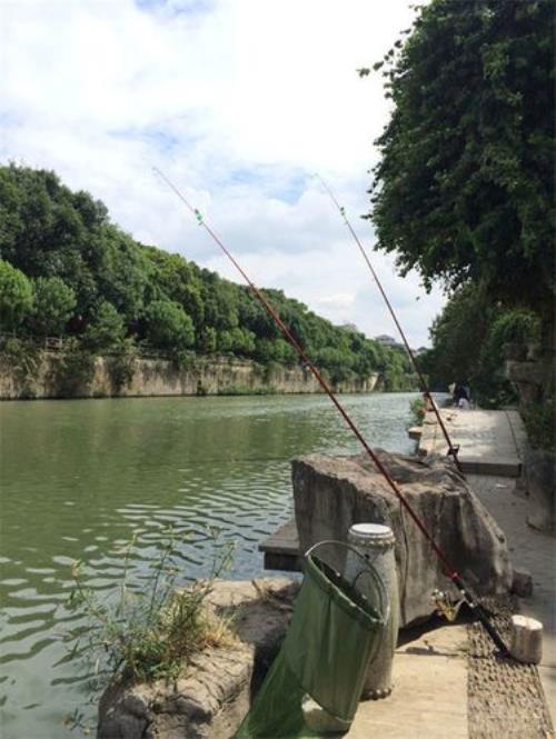 海竿夏季早上怎么钓鱼