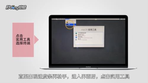 苹果电脑appstore的密码忘了怎么办