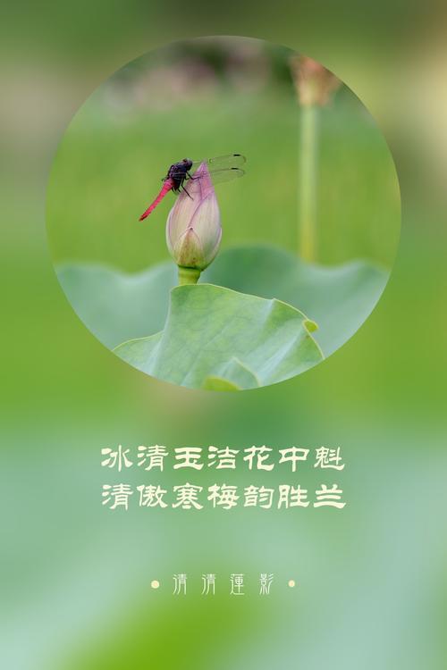 清心净心什么意思