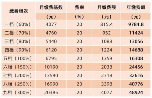 2023年的社保什么时候缴纳