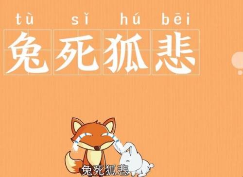 狐，八成语有哪些
