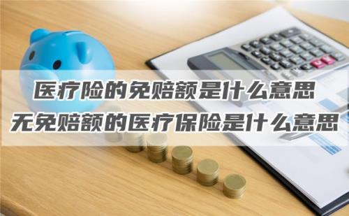 补充医疗保险免赔额