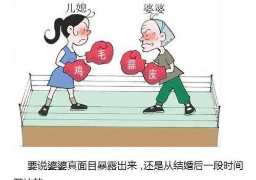 媳妇和婆婆在餐桌上拌嘴大结局