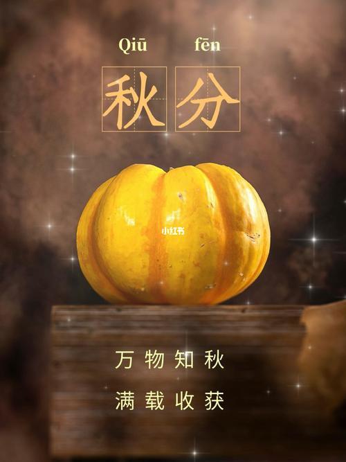 秋分捡树叶通知文案
