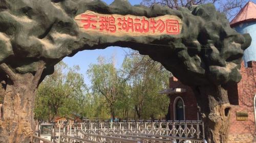 唐山开平动物园免门票到几号