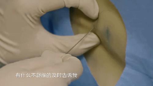 亲爱的生命杨殊结局