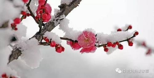 风雨送春归哪里看