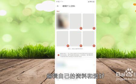 探探怎么加好友
