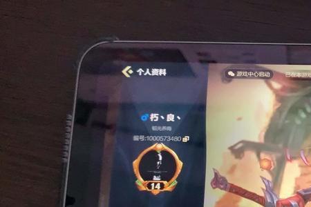 g1620玩大型游戏抗的住吗