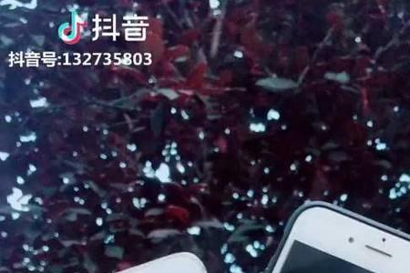 玩手机最不伤眼的姿势