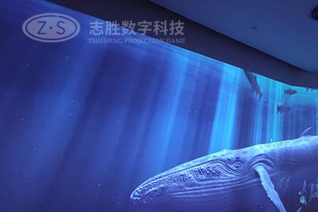 3d模式伤害投影吗
