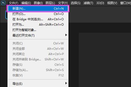 ps按了一个快捷键后变暗了