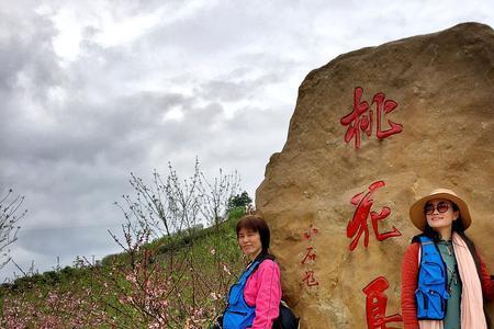 桃花岛武功的桃花岛武功招式