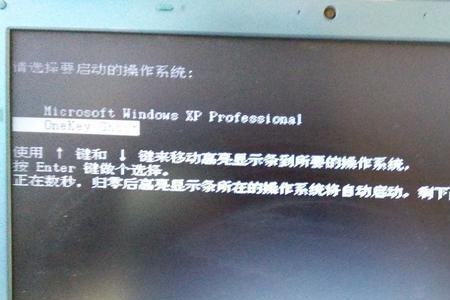 电脑玩森林崩溃了怎么办