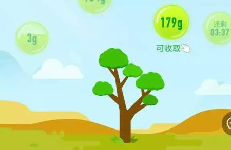 蚂蚁森林能量被人收取怎么办
