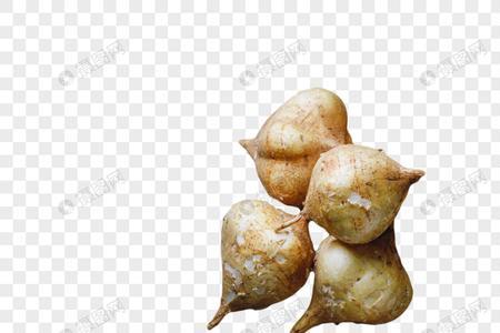 凉薯能免高速过路费吗