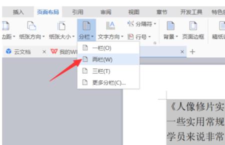 wps分栏没有所选文字