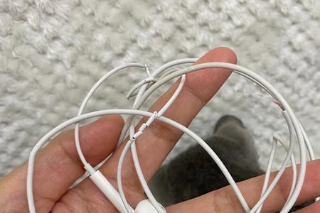 耳机充满电后一会就没电