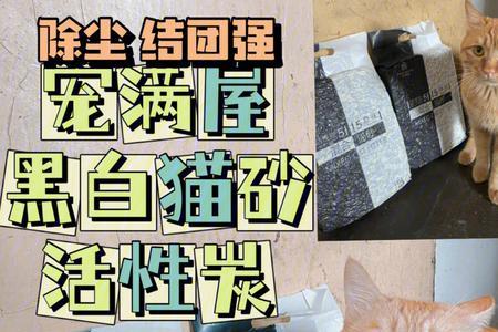 什么猫砂好用