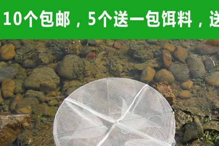 流动水捕虾用什么工具最好