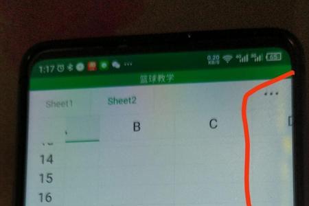 苹果13烧屏是什么样子