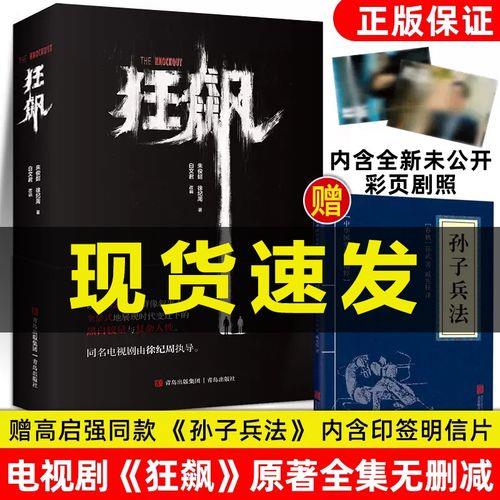 狂飙小说原著介绍