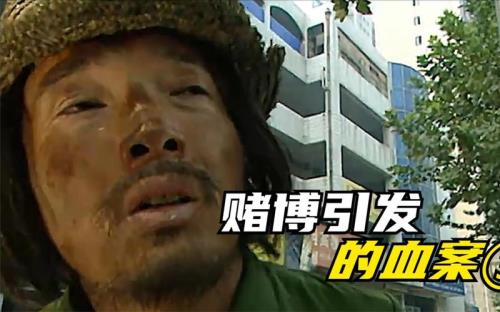 无处藏身林海玲扮演者
