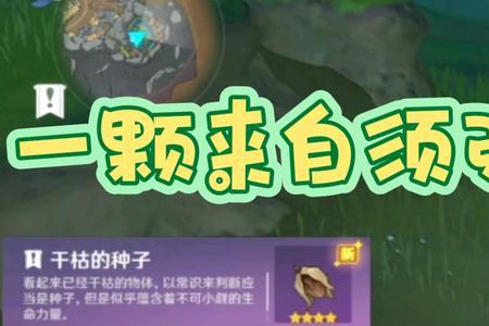 须弥宝箱多的任务怎么接