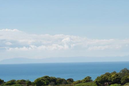 特斯拉屏幕可以换壁纸吗