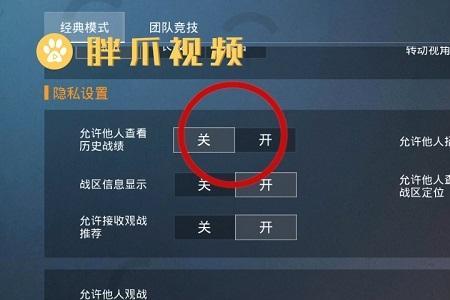 和平精英怎么看战区上榜分数