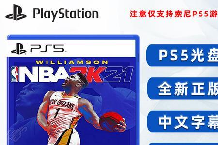 ps4标准版可以支持双人吗