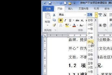 word文档，如何把字体变大