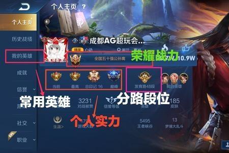 巅峰赛是所有英雄都加战力吗