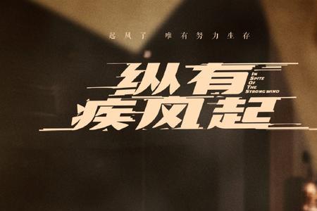 纵有疾风起手机型号