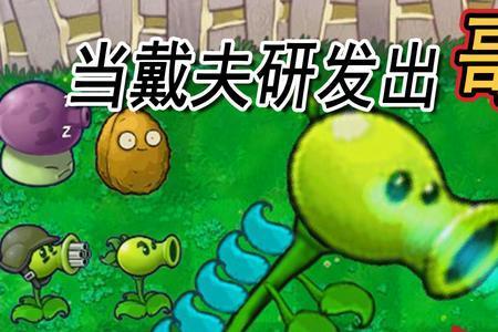 芦笋战机和寒冰豌豆哪个更好用