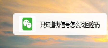 只有微信号怎么找回密码