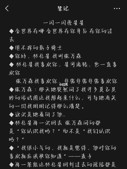 一闪一闪亮星星小说原著是什么