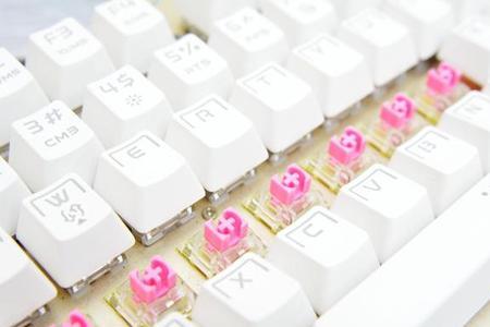 ttc金粉轴和静音红轴哪个好