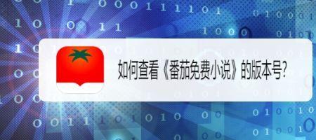 我爱番茄的小说
