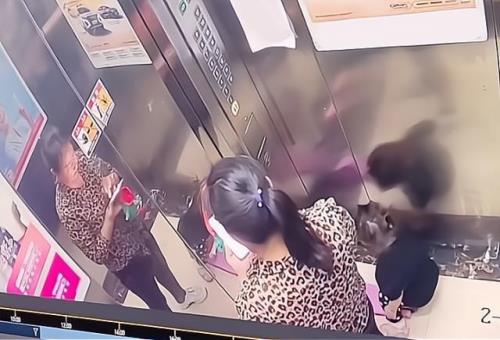 小樱桃保姆后续怎么处理