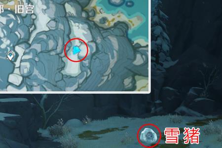 原神精灵宠物能获得几个