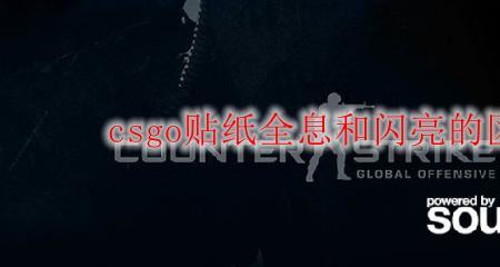 cs印花全息好还是闪亮好